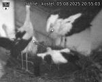Capi_Dubne_20250805_205503.jpg