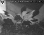 Capi_Dubne_20250805_210002.jpg
