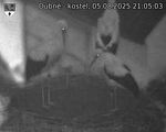 Capi_Dubne_20250805_210503.jpg