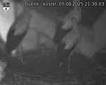 Capi_Dubne_20250805_213003.jpg