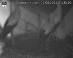 Capi_Dubne_20250805_213502.jpg