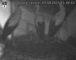 Capi_Dubne_20250805_214003.jpg