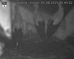 Capi_Dubne_20250805_214502.jpg