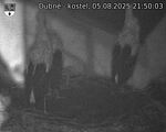 Capi_Dubne_20250805_215003.jpg