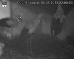 Capi_Dubne_20250805_220003.jpg