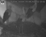 Capi_Dubne_20250805_221502.jpg