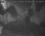 Capi_Dubne_20250805_222003.jpg