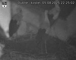 Capi_Dubne_20250805_222502.jpg