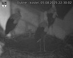 Capi_Dubne_20250805_223002.jpg