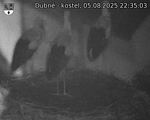 Capi_Dubne_20250805_223503.jpg