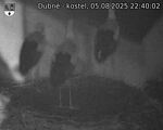 Capi_Dubne_20250805_224002.jpg