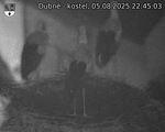 Capi_Dubne_20250805_224503.jpg