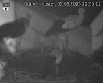Capi_Dubne_20250805_225502.jpg