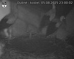 Capi_Dubne_20250805_230003.jpg