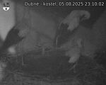 Capi_Dubne_20250805_231002.jpg