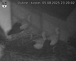 Capi_Dubne_20250805_232002.jpg