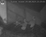 Capi_Dubne_20250805_232503.jpg