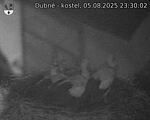 Capi_Dubne_20250805_233002.jpg