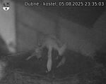 Capi_Dubne_20250805_233503.jpg