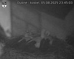 Capi_Dubne_20250805_234503.jpg