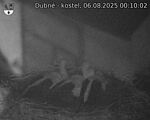 Capi_Dubne_20250806_001002.jpg
