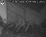 Capi_Dubne_20250806_003503.jpg