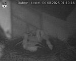 Capi_Dubne_20250806_011016.jpg