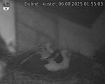 Capi_Dubne_20250806_015503.jpg