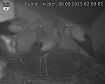 Capi_Dubne_20250806_020002.jpg