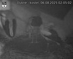 Capi_Dubne_20250806_020502.jpg