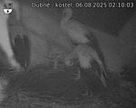 Capi_Dubne_20250806_021003.jpg