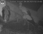 Capi_Dubne_20250806_021502.jpg