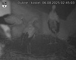 Capi_Dubne_20250806_024503.jpg