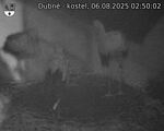Capi_Dubne_20250806_025002.jpg