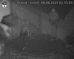 Capi_Dubne_20250806_025503.jpg