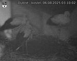 Capi_Dubne_20250806_031002.jpg
