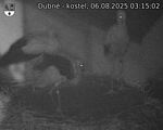 Capi_Dubne_20250806_031502.jpg