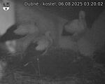 Capi_Dubne_20250806_032002.jpg