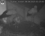 Capi_Dubne_20250806_032503.jpg