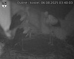 Capi_Dubne_20250806_034003.jpg