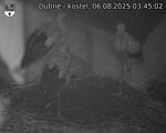 Capi_Dubne_20250806_034502.jpg