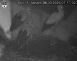 Capi_Dubne_20250806_035002.jpg