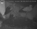 Capi_Dubne_20250806_035502.jpg