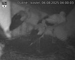 Capi_Dubne_20250806_040003.jpg