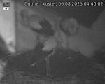 Capi_Dubne_20250806_044002.jpg