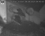 Capi_Dubne_20250806_044503.jpg