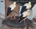 Capi_Dubne_20250806_060503.jpg