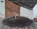 Capi_Dubne_20250806_083003.jpg