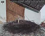 Capi_Dubne_20250806_084004.jpg