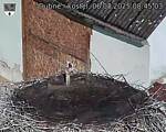 Capi_Dubne_20250806_084503.jpg